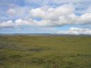 Wiesenlandschaft