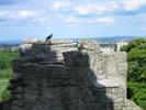 Craigmillar Castle