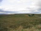 Landschaft