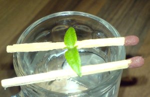 Pflänzchen im Schnappsglas